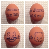 2016-05-07 19.58.43